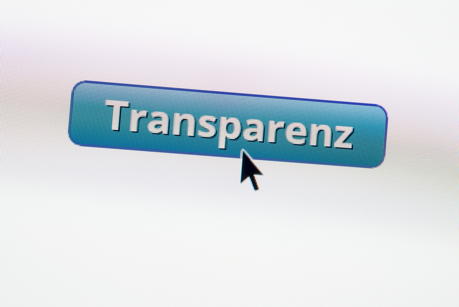 Transparenz German web button on webpage